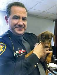 C-Amos vom Haus Mann IPO3 x6