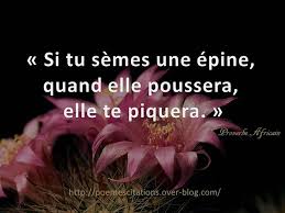 Si Tu Semes Une Epine Poemes Et Citations Proverbe Africain Poeme Et Citation Citations Africaines