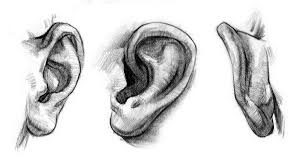 Doms ( zoom ultimate dark ) pencil كيفية رسم الأذن مع خطوات للمبتدئين#pencildrawing #. Hildur K Olafsdottir On Twitter How To Draw Ears Step By Step By Proko Anatomyquicktips Draw Drawaear Drawanear Drawing Drawingfeet Education Facialfeatures Feet Howto Howtodraw Howtodrawears Howtodrawearsanatomyandstructure
