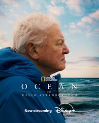 This is more than just a documentary, it's a call to action. Learn about  protecting our seas in Ocean with David Attenborough, now streaming