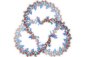 Identifies the types of rna: Uberraschend Knotenfreie Rna Wissenschaft De