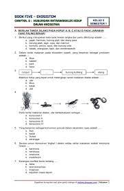 Download Soal Tematik Kelas 5 Tema 5 Ekosistem Semester 1 Edisi 2017 Tempat Download Soal Ujian Ekosistem Pemahaman Membaca Matematika Kelas 5