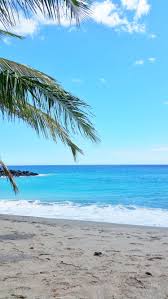 Hawaii Beach Picture In 2020 Hawaii Travel Big Island Travel Big Island Hawaii Beaches