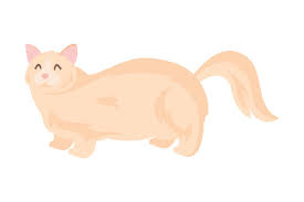 Find & download free graphic resources for bengal cat. 273 Cats Crafts 2021 Page 5 Of 8 Creative Fabrica