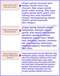 Soal tematik kelas 6 dan kunci jawaban revisi 2018 untuk sahabat buku paket yang ingin download soal soal tematik kelas 6 sdmi hasil revisi terbaru sebagai bahan belajar silahkan. Kunci Jawaban Tematik Tema 1 Kelas 5 Hal 36 Peranti Guru