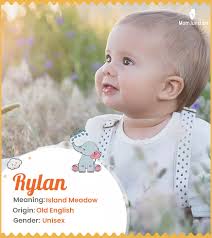 Ryland Name, Meaning, Origin, History, And Popularity