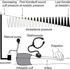 Limit their use in certain clinical or home settings, especially during certain a certain physical. Oscillometry System Physical Setup The Intraarterial Bp And The Cuff Download Scientific Diagram