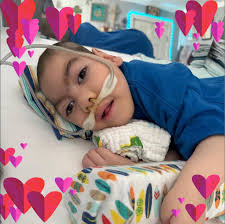 Large, comfortable chair with tropical monkey upholstery. No tears, no  holes. Non-smoking home. Excellent condition. Purchased in Houston. The  lamp looks great