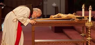 Seán patrick o'malley ofm cap gcih is an american cardinal of the catholic church serving as the archbishop of boston. Cardinal Sean We Need To Show A United Stance Catholic Outlook