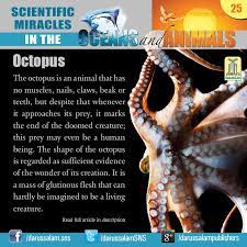From Scientific Miracles In The Oceans Animals By Yusuf Al Hajj Ahmad Published By Darussalam 2010 Islam And Science Miracles Science Facts