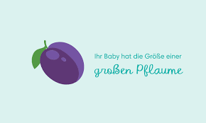 13 Ssw Symptome Schwangerschaft Entwicklung Pampers