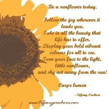 Sunflower Is An Inspirational Poem About Moving Towards Your Joy From The Collection A Candle At Both Ends By Composer Sunflower Poem Inspirational Poems Poems