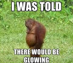 Funny pregnancy memes - Page 3  BabyCentre