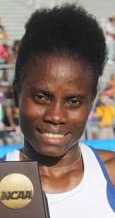 Beach Volleyball Team Opens With Three Opponents