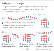 (choose all that apply.) aligning the parts of substrates that need to connect to form a … product. Life S First Molecule Was Protein Not Rna New Model Suggests Quanta Magazine