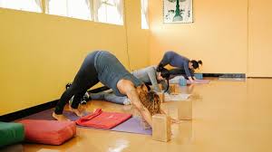 Maybe you would like to learn more about one of these? Silverlake Yoga 17 Photos 135 Reviews Yoga 2810 Glendale Blvd Los Angeles Ca United States Phone Number