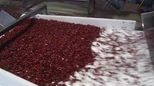 1,589 harvesting pinto beans products are offered for sale by suppliers on alibaba.com, of which kidney beans accounts for 1%. Bean Sorting Machine Tomra