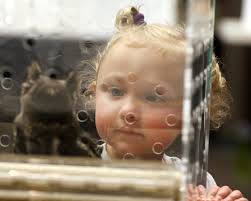 PHOTOS: Mike Hensdill's Favorite Images of 2017