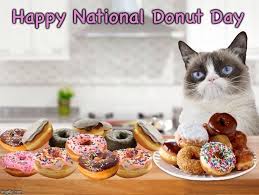 But national donut day's not just about being out there, all hedonistic, with your pants hanging off your ass, like christmas or easter. Happy National Donut Day From Grumpy Cat Grumpy Cat National Donut Day Grumpy