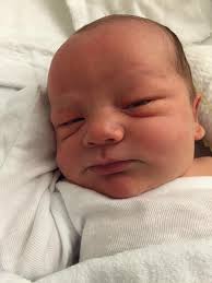 Leprechaun Decorating Service