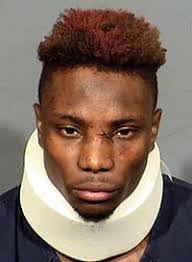 Paulette Schaeffer's Instagram, Twitter & Facebook