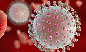 Zika Virus FAQs: DRS Medical Associates: Primary Care Physicians