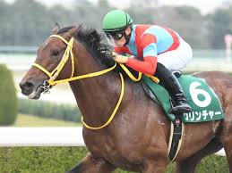 サッカー関連の選手権。 uefaチャンピオンズリーグの旧略称。 concacafチャンピオンズリーグの旧略称。 cafチャンピオンズリーグの旧略称。 a3チャンピオンズカップ. M5l4idl0 44vwm