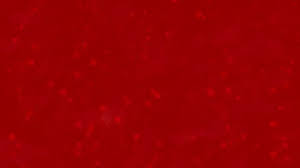 317 red 4k wallpapers and background images. Love Themed Red Animated Background With Stock Video Pond5