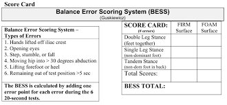 Image result for Balance Error Scoring System