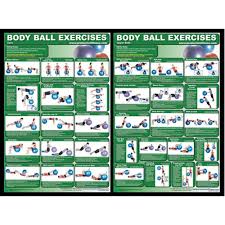 Body Ball Exercises Chart Core Upper Body