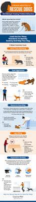 We did not find results for: Common Anxieties Found In Rescue Dogs Canna Pet