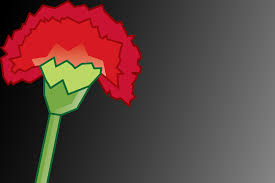 As celebrações do 25 de abril são também uma oportunidade para lembrar o país que existia antes da revolução. 25 De Abril A Revolucao Que Mudou Portugal