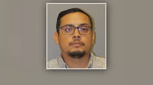 Two Veiled Chameleons Turned In On Maui