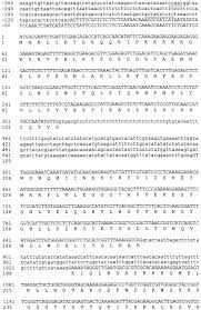 The Arabidopsis Male Sterility1 Ms1 Gene Is A Transcriptional Regulator Of Male Gametogenesis With Homology To The Phd Finger Family Of Transcription Factors Wilson 2001 The Plant Journal Wiley Online Library