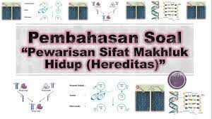 Soal dan pembahasan pewarisan sifat. Pembahasan Soal Hereditas Pewarisan Sifat Makhluk Hidup Ph3 Youtube