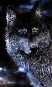 Download zedge™ app to view this premium item. Wolf Wallpaper Kolpaper Awesome Free Hd Wallpapers