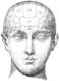 The Principles of Phrenology