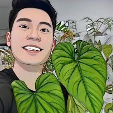 Can pudding mix replace heavy cream or sour cream?