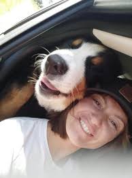 Top Pet Sitters in Maroochydore with Best Prices