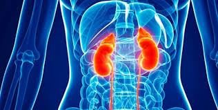 ERC                                                            también llamada insuficiencia renal crónica, describe la pérdi