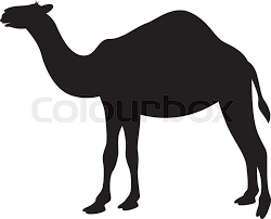 Camel black and white camel like mammal wildlife clipart. Cartoon Camel Vector Illustration Stock Vector Colourbox