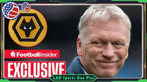 Wildcat of the Week Jamie Ikeda