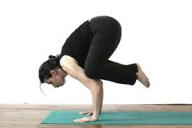 Do These Yoga Poses Every Day Yoga Poses Strength Yoga Crow Pose