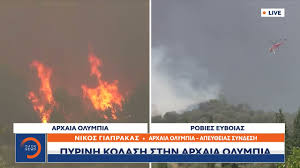 Με την φωτια καιγονται και τα οποια παρασιτα του εδαφους και καθιστουν το εδαφος παλι γονιμο και πολυ θρεπτικο. Xp9cp2ti Omkmm