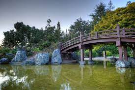 Japanese Friendship Garden Arizona Day Trips Arizona Photography Photo Location