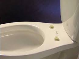 Once the bolts are out lift off the toilet seat. Easy Clean Change Bemis Youtube