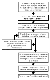 Flow Chart Depicting A Simplified Explanation Of The