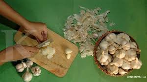 Jika ingin lebih merasakan khasiat bawang putih, cobalah untuk mengkombinasikannya dengan madu. Luar Biasa Ini Manfaat Bawang Putih Untuk Kesehatan Tubuh Anda