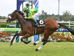 ただ、ソダシは…  2021年5月21日 10:17  競馬 【ダービー】ヨーホー. æ¡œèŠ±è³žã¯ã‚½ãƒ€ã‚·ã‚ˆã‚Šã‚µãƒˆãƒŽãƒ¬ã‚¤ãƒŠã‚¹ ã‚­ãƒ£ãƒªã‚¢ã‚„è¡€çµ±é¢ãªã©ãƒ‡ãƒ¼ã‚¿ãŒå¾ŒæŠ¼ã— ç«¶é¦¬ é›†è‹±ç¤¾ã®ã‚¹ãƒãƒ¼ãƒ„ç·åˆé›'èªŒ ã‚¹ãƒãƒ«ãƒ†ã‚£ãƒ¼ãƒ å…¬å¼ã‚µã‚¤ãƒˆ Web Sportiva