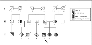 Figure 1 From Diagnosis And Molecular Characterization Of